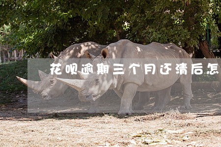 花呗逾期三个月还清后怎么处理 花呗逾期三个月还清后怎么处理