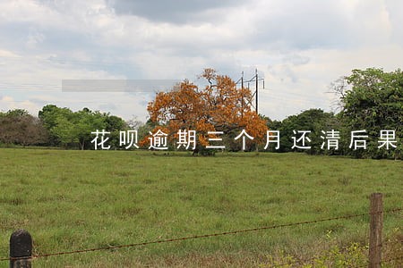 花呗逾期三个月还清后果 花呗逾期三个月还清后果