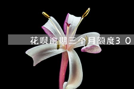 花呗逾期三个月额度300