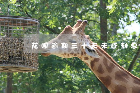 花呗逾期三十天未还利息 花呗逾期三十天未还利息