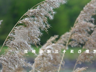 花呗逾期三十天还清怎么激活 花呗逾期三十天还清怎么激活