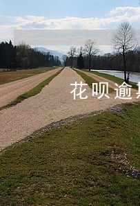 花呗逾期三千图片 花呗逾期三千图片