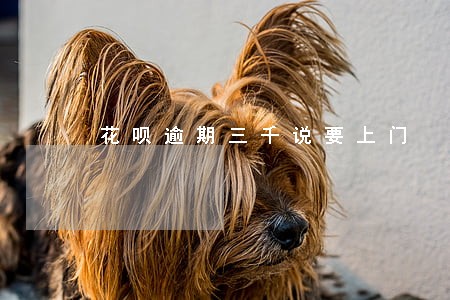 花呗逾期三千说要上门 花呗逾期三千说要上门