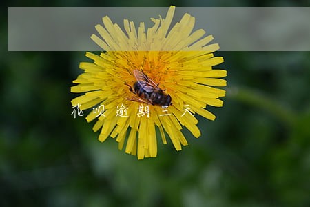 花呗逾期三天 花呗逾期三天