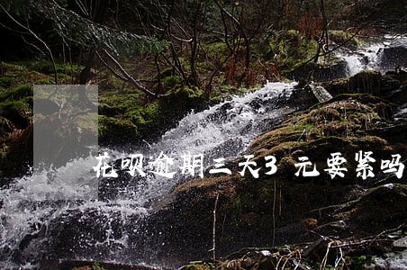 花呗逾期三天3元要紧吗 花呗逾期三天3元要紧吗