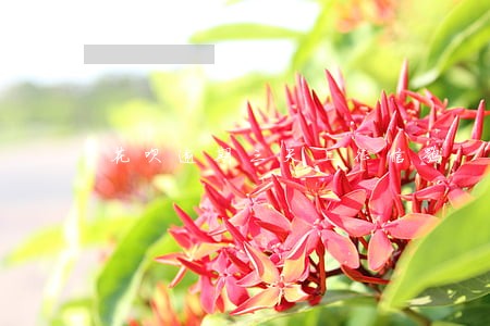 花呗逾期三天上征信嘛 花呗逾期三天上征信嘛