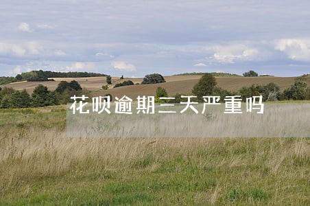 花呗逾期三天严重吗 花呗逾期三天严重吗