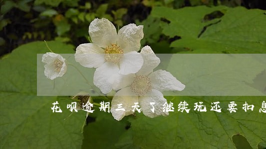 花呗逾期三天了继续玩还要扣息吗 花呗逾期三天了继续玩还要扣息吗