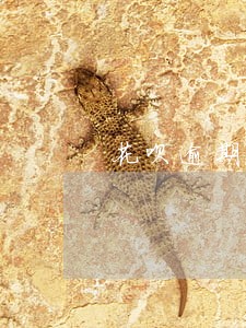 花呗逾期三天了还影响征信吗 花呗逾期三天了还影响征信吗