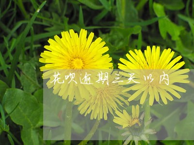 花呗逾期三天以内 花呗逾期三天以内