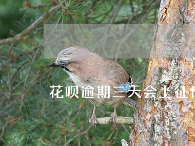 花呗逾期三天会上征信么 花呗逾期三天会上征信么
