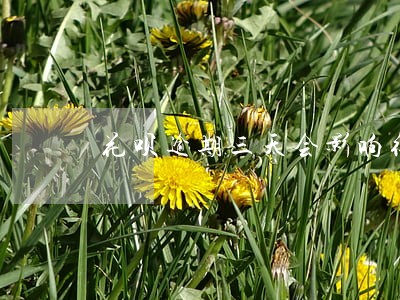 花呗逾期三天会影响征信吗 花呗逾期三天会影响征信吗