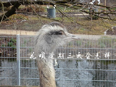花呗逾期三天会怎样 花呗逾期三天会怎样