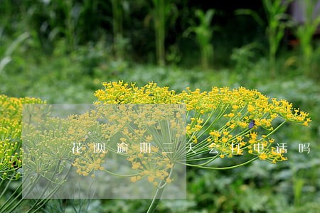 花呗逾期三天会打电话吗 花呗逾期三天会打电话吗