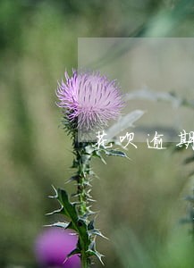 花呗逾期三天会有影响吗 花呗逾期三天会有影响吗