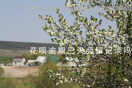 花呗逾期三天会留记录吗 花呗逾期三天会留记录吗