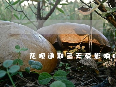 花呗逾期三天受影响吗 花呗逾期三天受影响吗
