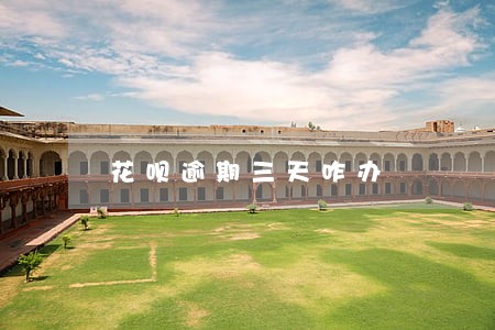 花呗逾期三天咋办