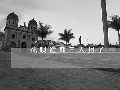 花呗逾期三天封了