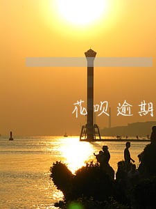花呗逾期三天就无法购物了 花呗逾期三天就无法购物了