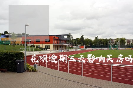 花呗逾期三天影响买房吗 花呗逾期三天影响买房吗
