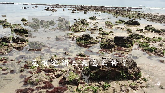 花呗逾期三天怎么停了 花呗逾期三天怎么停了