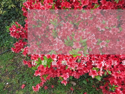 花呗逾期三天怎么回事 花呗逾期三天怎么回事