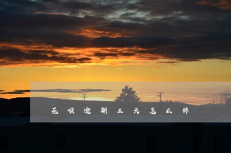 花呗逾期三天怎么样 花呗逾期三天怎么样