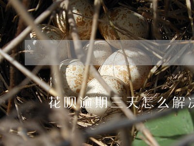 花呗逾期三天怎么解决