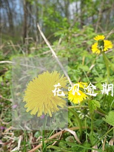 花呗逾期三天才还进去能再刷吗 花呗逾期三天才还进去能再刷吗