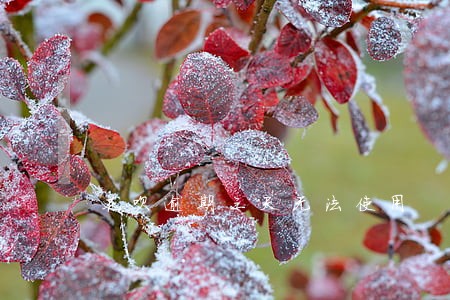 花呗逾期三天无法使用 花呗逾期三天无法使用