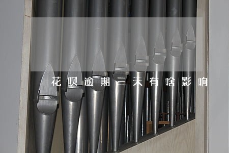 花呗逾期三天有啥影响