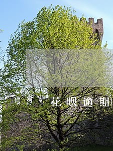 花呗逾期三天有影响 花呗逾期三天有影响