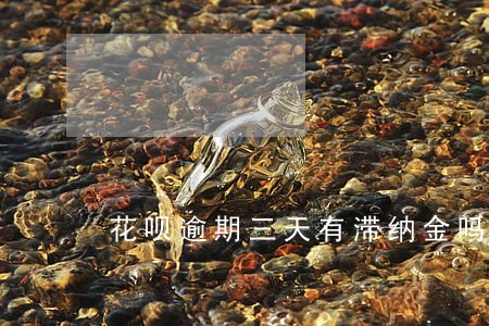 花呗逾期三天有滞纳金吗
