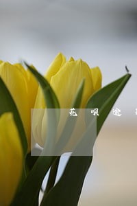 花呗逾期三天没事吧贴吧 花呗逾期三天没事吧贴吧