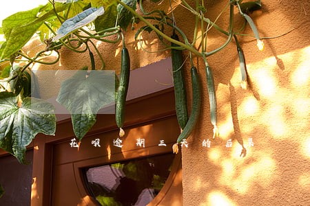 花呗逾期三天的后果 花呗逾期三天的后果