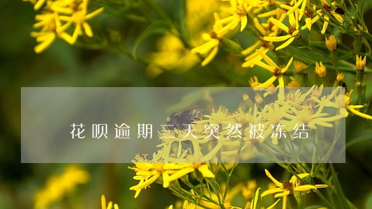 花呗逾期三天突然被冻结 花呗逾期三天突然被冻结