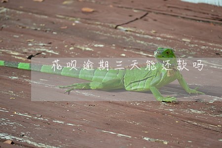 花呗逾期三天能还款吗 花呗逾期三天能还款吗
