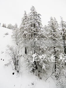 花呗逾期三天被冻结 花呗逾期三天被冻结