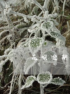 花呗逾期三天还了有影响吗 花呗逾期三天还了有影响吗
