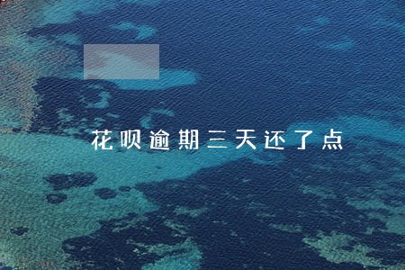 花呗逾期三天还了点 花呗逾期三天还了点