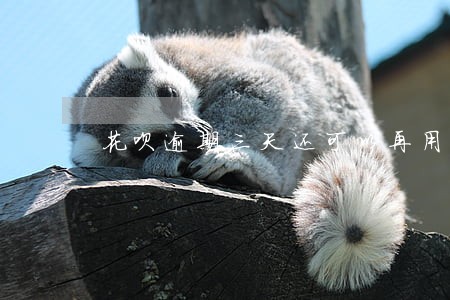 花呗逾期三天还可以再用吗 花呗逾期三天还可以再用吗
