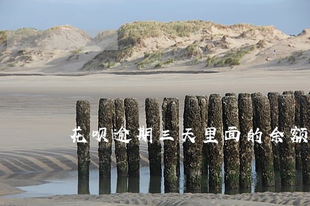 花呗逾期三天里面的余额还能用吗 花呗逾期三天里面的余额还能用吗