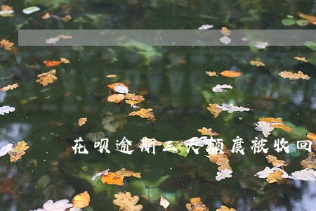 花呗逾期三天额度被收回了 花呗逾期三天额度被收回了