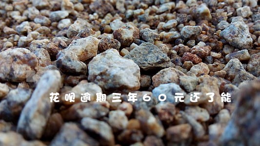 花呗逾期三年60元还了能
