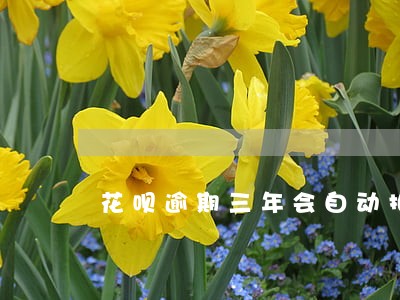 花呗逾期三年会自动扣费么 花呗逾期三年会自动扣费么