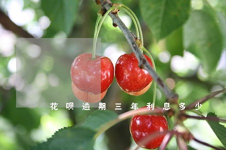 花呗逾期三年利息多少 花呗逾期三年利息多少