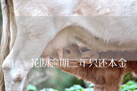 花呗逾期三年只还本金 花呗逾期三年只还本金