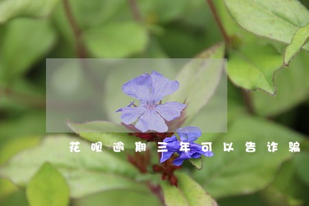 花呗逾期三年可以告诈骗吗