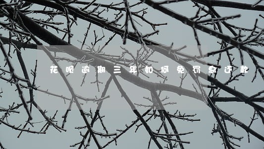 花呗逾期三年如何免罚息还款 花呗逾期三年如何免罚息还款